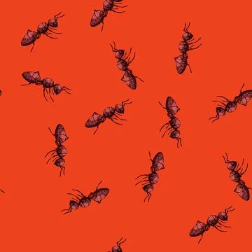 Pattern queen ant sketch hand drawn 스톡 일러스트