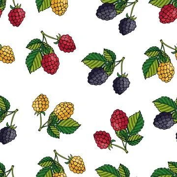 Pattern raspberries and blackberries 스톡 일러스트