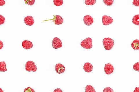 Pattern of raspberries spread out in lines on a white background in various p Stock Photos