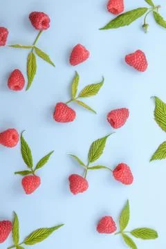 Pattern of raspberry and green leaves on blue background. Flat lay summer ber 스톡 사진