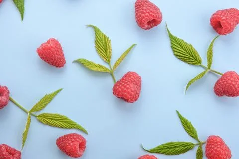 Pattern of raspberry and green leaves on blue background. Flat lay summer ber Stock Photos