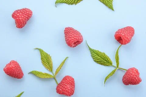Pattern of raspberry and green leaves on blue background. Flat lay summer ber 스톡 사진