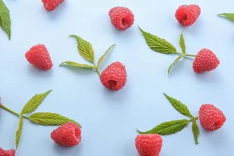 Pattern of raspberry and green leaves on blue background. Flat lay summer ber 스톡 사진