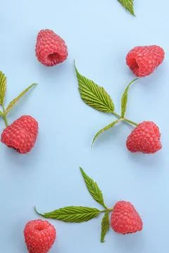 Pattern of raspberry and green leaves on blue background. Flat lay summer ber Stock Photos
