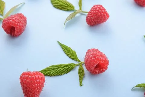 Pattern of raspberry and green leaves on blue background. Flat lay summer ber 스톡 사진