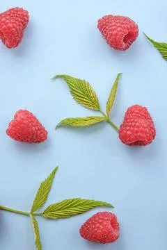 Pattern of raspberry and green leaves on blue background. Flat lay summer ber 스톡 사진