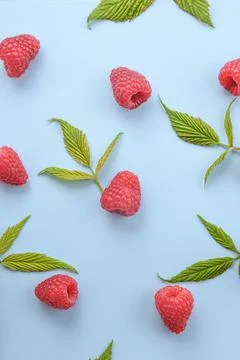 Pattern of raspberry and green leaves on blue background. Flat lay summer ber Stock Photos
