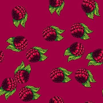 Pattern raspberry berry sketch hand drawn Stock Illustration