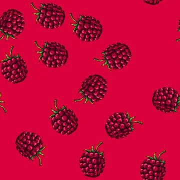 Pattern raspberry food sketch hand drawn Stock Illustration