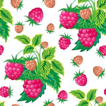 Pattern of raspberry hand painted. Fruit seamless background for menu and Stock Illustration