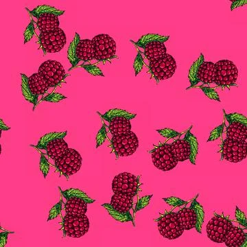 Pattern raspberry plant sketch hand drawn 스톡 일러스트