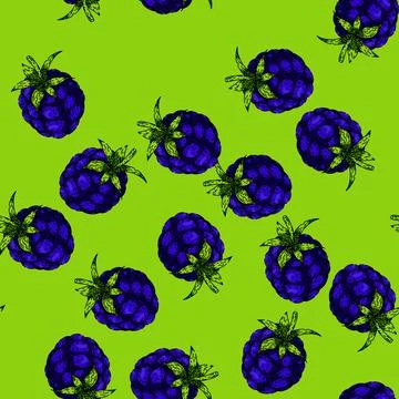 Pattern raw blackberry sketch hand drawn Illustrazione stock