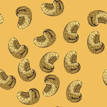 Pattern raw cashew nut sketch hand drawn Stock Illustration
