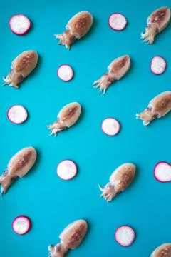 Pattern of raw chopitos or ittle cuttlefish and radish on blue background. Stock Photos