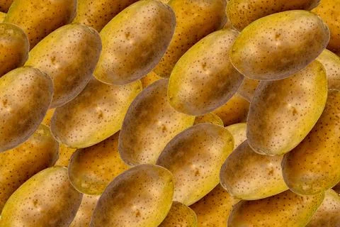 Pattern of raw, unpeeled brown potatoes with textured skin, arranged in a d.. 库存照片