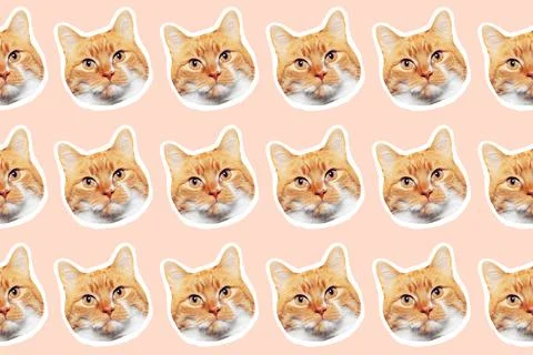 Pattern of red cat faces contoured with white, on pastel orange background.  Stock Photos