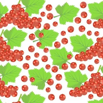 Pattern with RED CURRANT Stock Illustration
