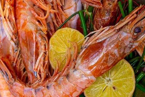 Pattern of red king prawns big with cut round lemons slice culinary design Foto stock