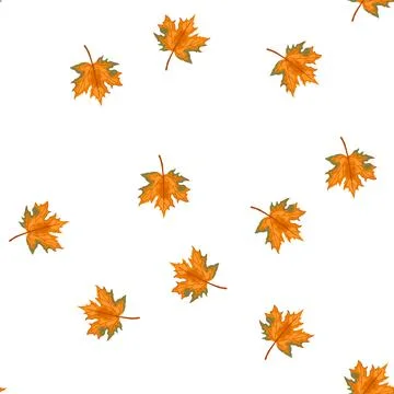 Pattern red maple leaf cartoon vector Stock Illustration