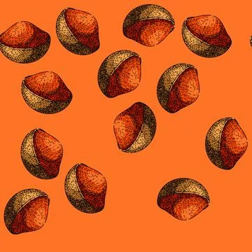 Pattern red paprika sketch hand drawn Stock Illustration