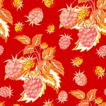 Pattern of red pink raspberry hand painted. Fruit seamless background for menu Illustrazione stock