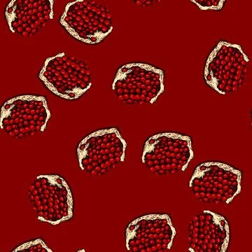 Pattern red pomegranate sketch hand drawn Stockillustratie