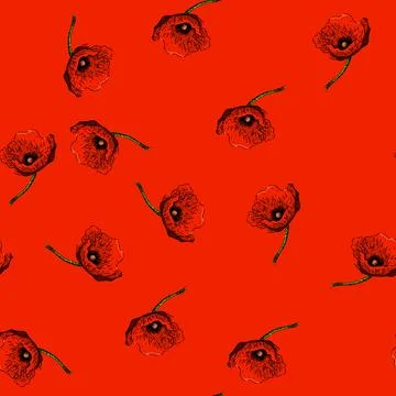 Pattern red poppy sketch hand drawn Stock Illustration