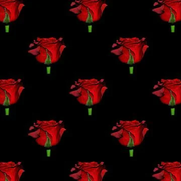 Pattern of a red roses on black background. Stock Illustration