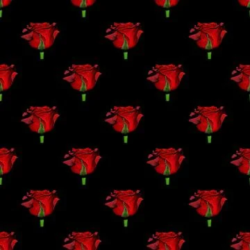 Pattern of a red roses on black background. Stock Illustration