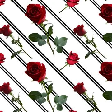 A pattern with red roses with green leaves against the background Stock Illustration
