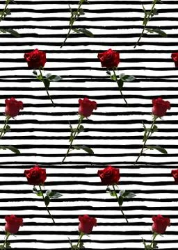 Pattern with red roses on a long stem with green leaves on a background of black Stock Illustration