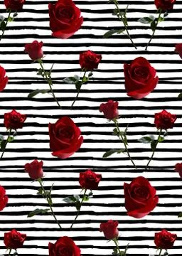 Pattern with red roses on a long stem with green leaves on a background of black Stock Illustration