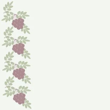 A pattern of red rowan branches with leaves and berries. The rowan tree is .. Illustrazione stock