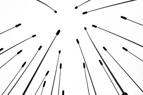 Pattern of reed grass under clear   sky Stock Photos