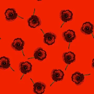 Pattern remembrance poppy sketch hand drawn Stock Illustration