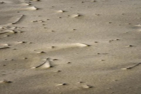 Pattern resembling small beige ripples or bumps in beach sand, are known as.. Stock Photos
