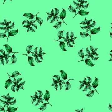 Pattern retro nettle sketch hand drawn Stock Illustration