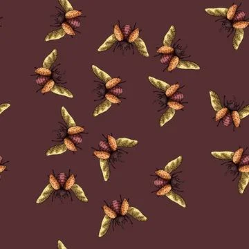 Pattern Rhinoceros beetle flying with spread wings drawing illustration Illustrazione stock