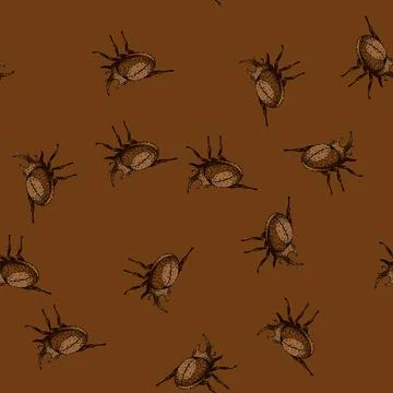 Pattern Rhinoceros beetle insect drawing line art illustration Illustrazione stock