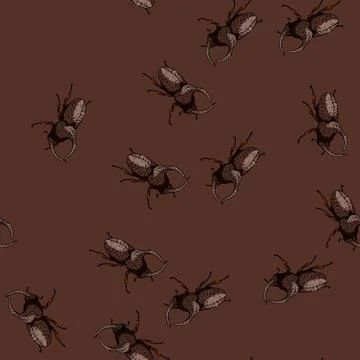 Pattern Rhinoceros beetle insect drawing standing illustration Stock Illustration
