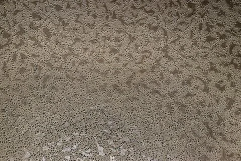 A pattern of rhythmically arranged elements used to decorate objects of art Stock Photos