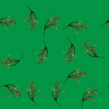 Pattern rice plant sketch hand drawn Stock Illustration