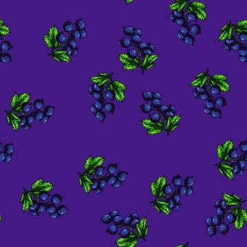 Pattern ripe black currant sketch hand drawn Illustrazione stock