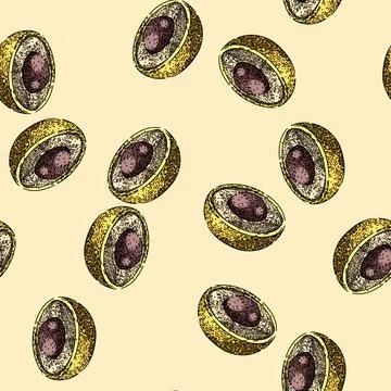 Pattern ripe longan fruit sketch hand drawn Stock Illustration