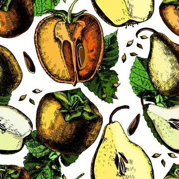 Pattern of ripe persimmon and pears. 스톡 일러스트