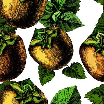 Pattern of ripe persimmon Illustrazione stock