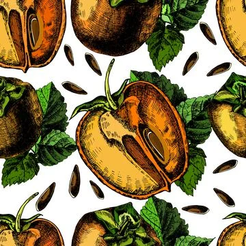 Pattern of ripe persimmon. Stock Illustration