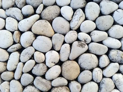 A pattern of river stones or white coral stones arranged closely together. Foto stock