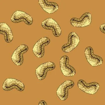 Pattern roasted cashew nut sketch hand drawn Illustrazione stock