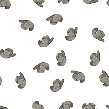 Pattern rodeo cowboy hat cartoon vector Stock Illustration